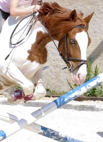 centre équestre kempemillen