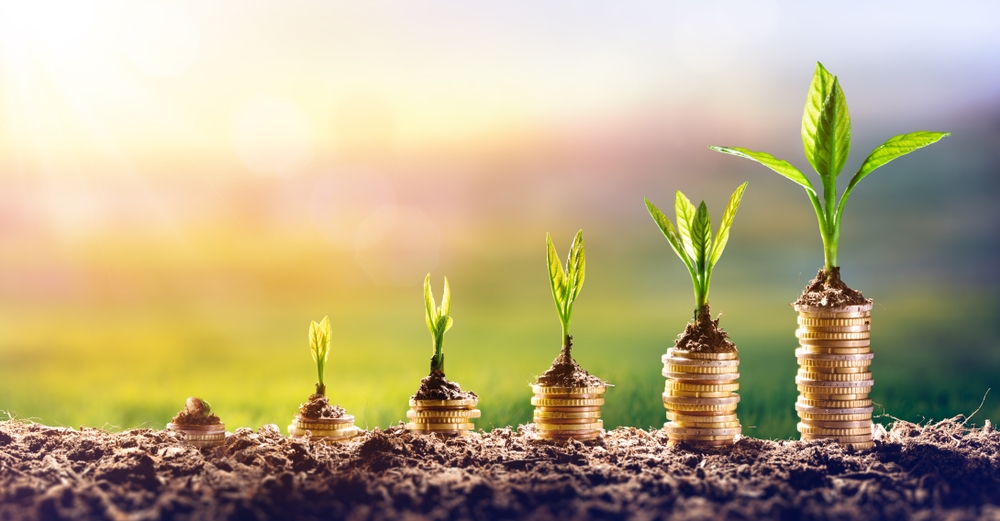 Investissement immobilier : Sécurité et Rendement