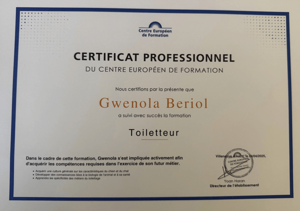 Certificat professionnel 