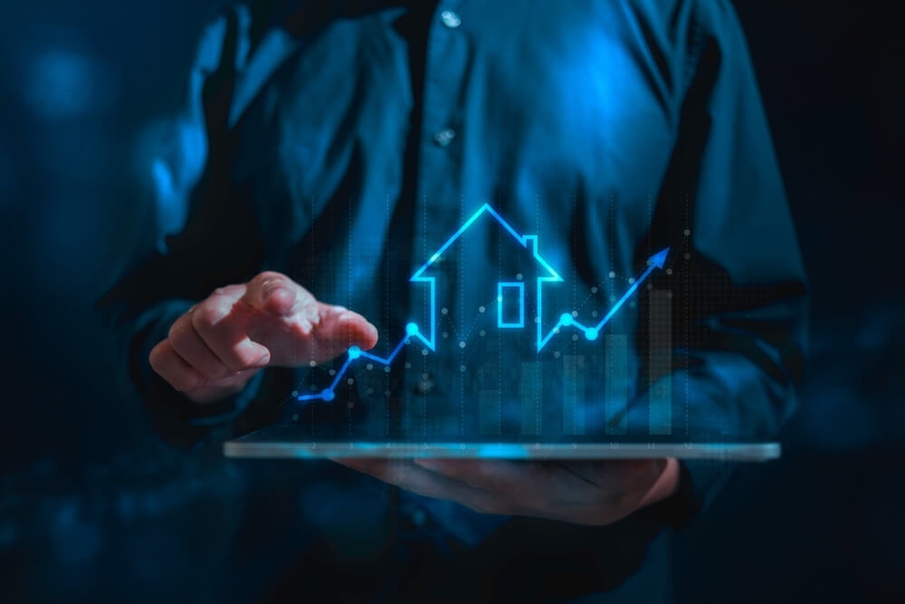 Investissement et conseil
