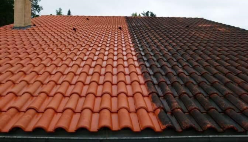 Nettoyage et démoussage de toit