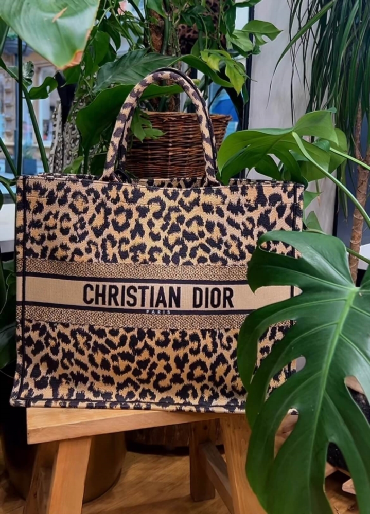 Dior Book Tote L Canvas