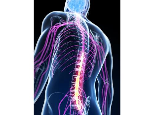 Spécialisé pour les maladies neurologiques