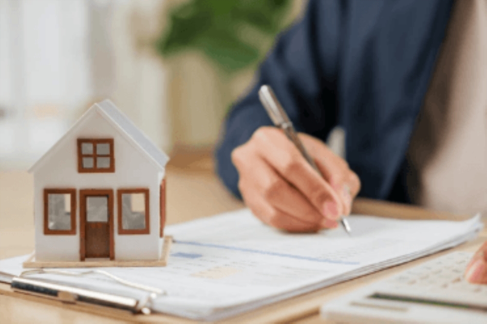 Gestion complète des assurances