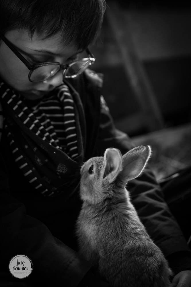 Des souvenirs inoubliables avec votre animal