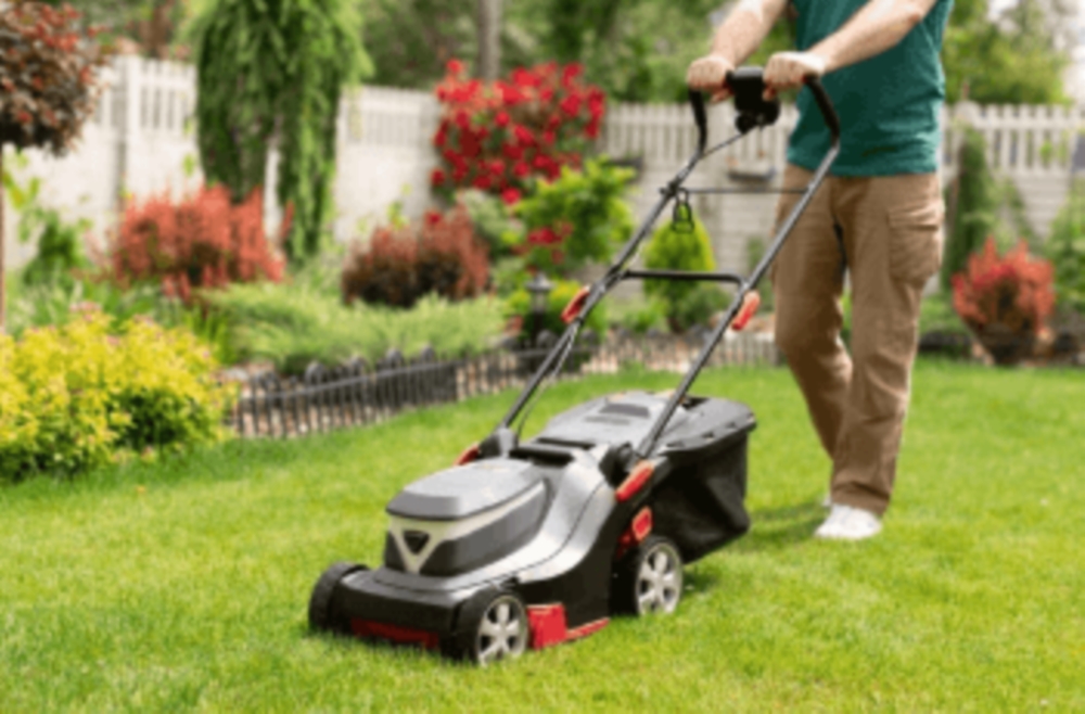 Repassage à domicile et entretien extérieur