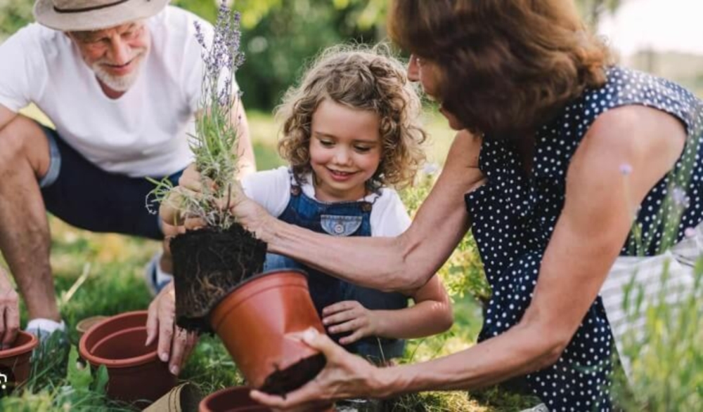 Les bienfaits du jardinage sur la santé