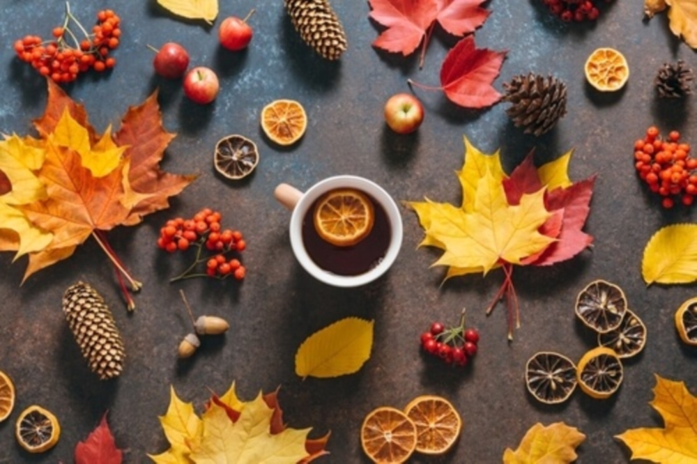 Le goût du terroir au fil des saisons