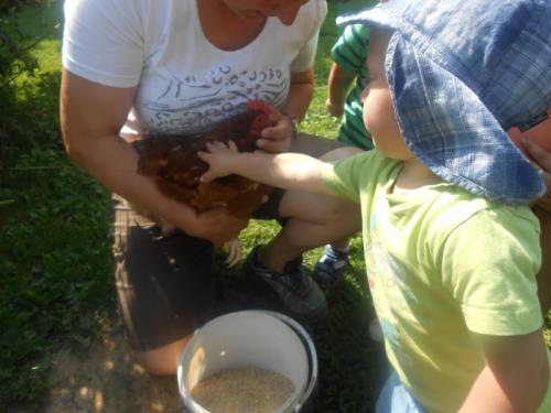 Visites pédagogiques