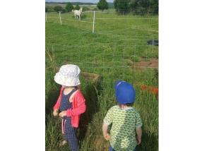 Promenade dans la nature