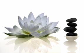 Epilations pour femmes et hommes