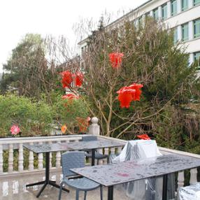 restaurant fujiyama cuisine chinoise et japonaise esch-alzette