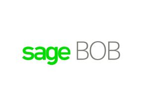SAGE BOB (Accounting & Business Management)