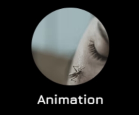 Animation