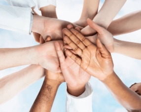 Les soins palliatifs