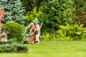 Aménagement et entretien des espaces verts