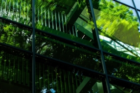 Architecture durable et rénovation du patrimoine