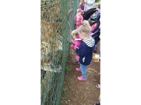 Parc animalier à Esch-sur-Alzette