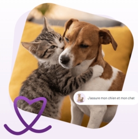 Assurance chien & chat