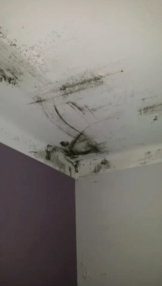 Stop à la condensation et à la moisissure dans la maison