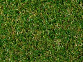Royal Grass Lush