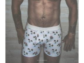 Boxer Pullin