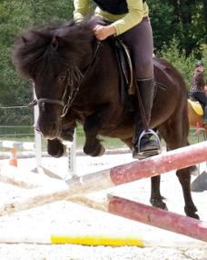 centre équestre kempemillen