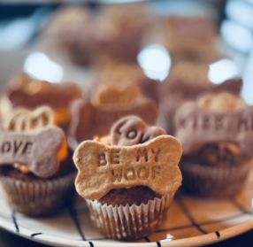 Café & Restaurant Dog-friendly