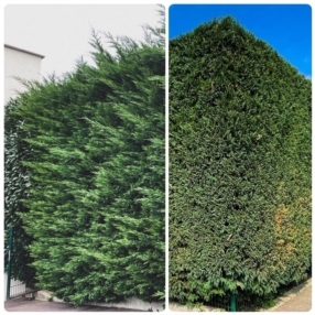  Entretien des espaces verts