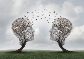 Coaching online oder sur place