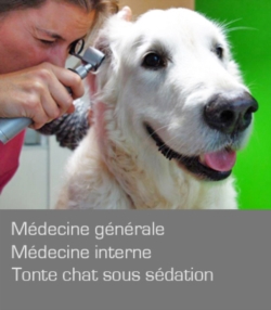 Médecine générale