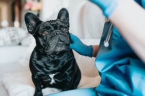 Avantages de la consultation a domicile