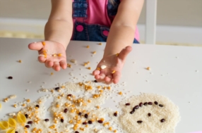 Découvrir et apprendre avec tous ses sens