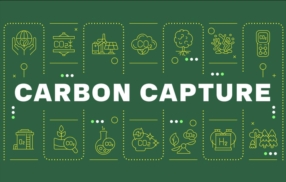 Capture du carbone
