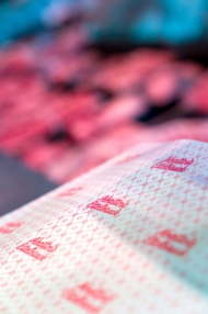 Découvrez nos promotions actuelles