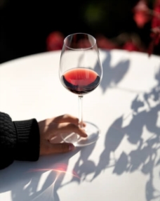 Plat du jour – midi & soir 13,50€