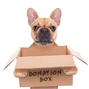 Spenden