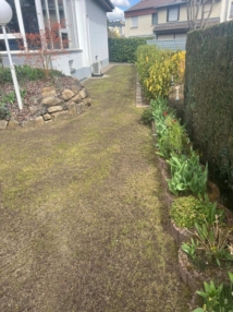 Les étapes clés pour réussir l’engazonnement de votre jardin