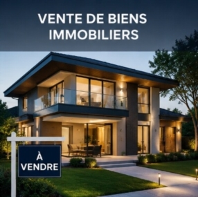 Vente de biens immobiliers