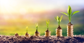 Investissement immobilier : Sécurité et Rendement