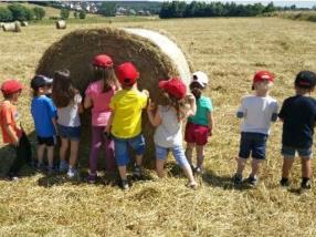 Sortie dans les champs de blé et de maïs