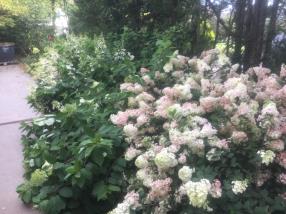 Aménagement jardin