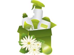 Produits d'entretien écologiques
