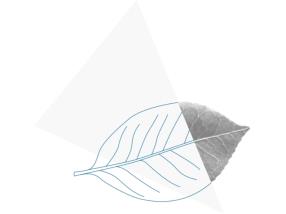 Energies nouvelles 