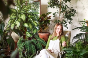  Indoor Planzen