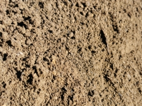 Sable
