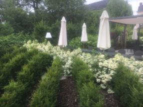 Aménagement jardin