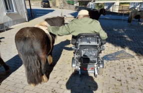 Le Pony Express chez vous!