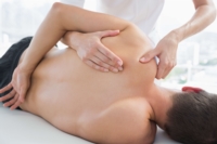 Artikel vonKnoll Ilona