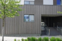 Article de Debanck Geena